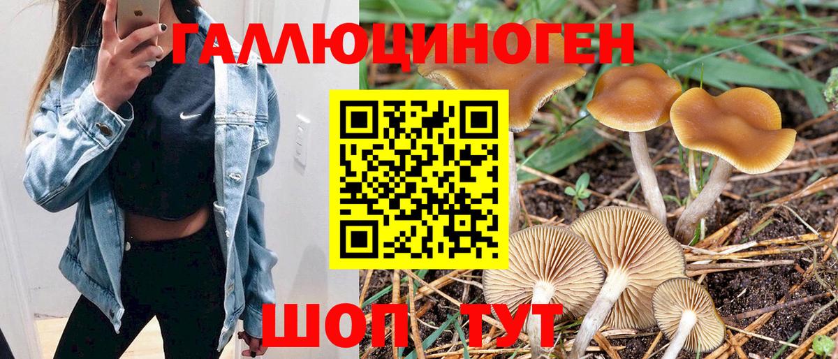 Черкесск  Псилоцибиновые грибы MAGIC MUSHROOMS  Вход с VPN  Псилоцибиновые грибы Psilocybine cubensis 
