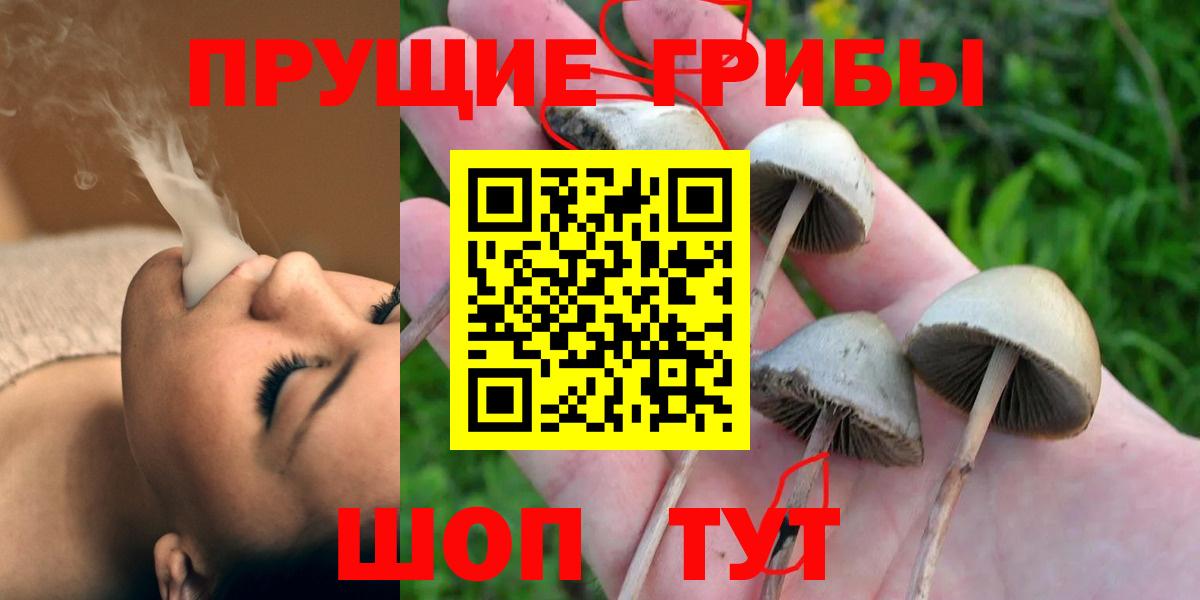 Галлюциногенные грибы MAGIC MUSHROOMS Черкесск